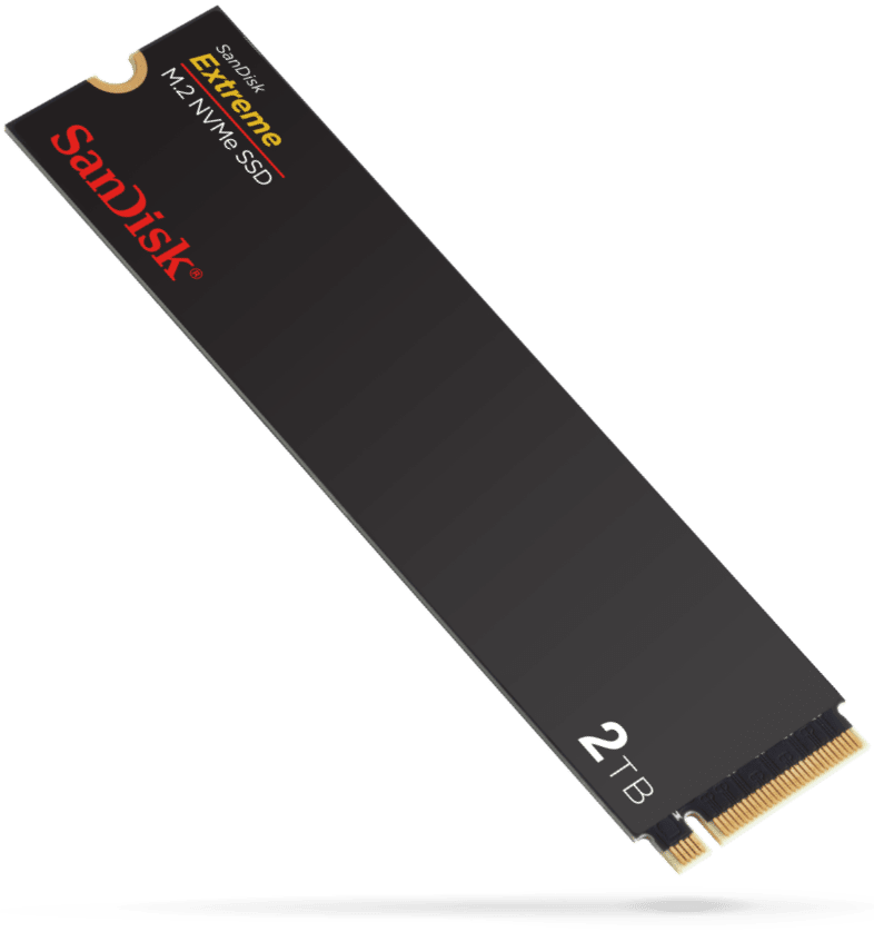 Everday Storage Solutions for Every You Western Digital