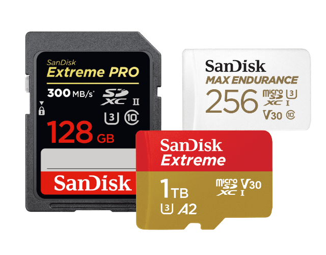 SanDisk - Memory Cards