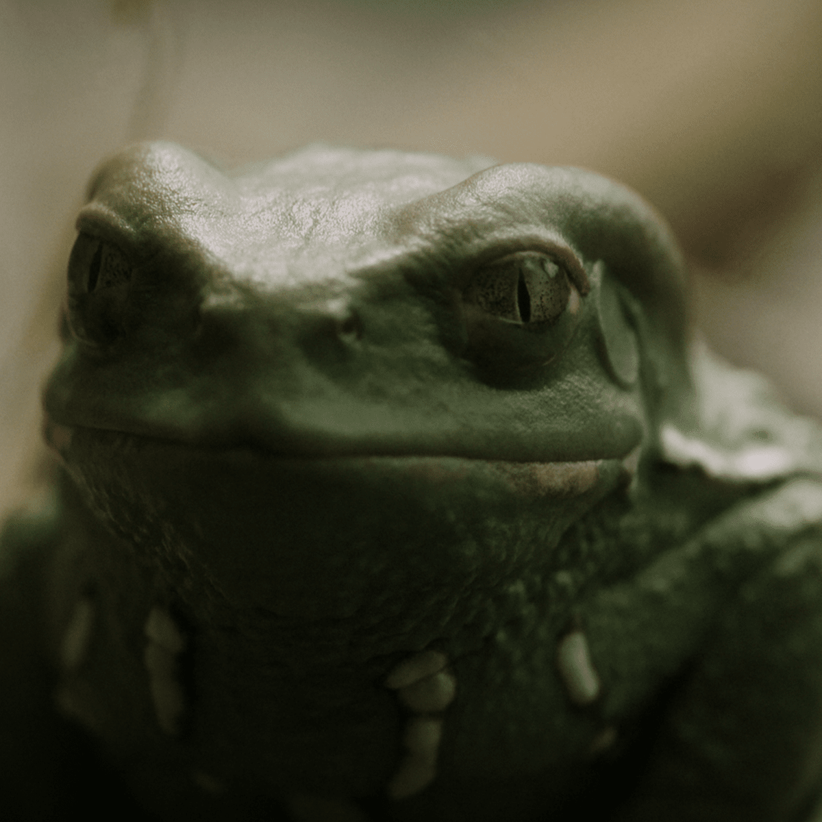 gteam-page-michael-coleman-1200x1200-image4