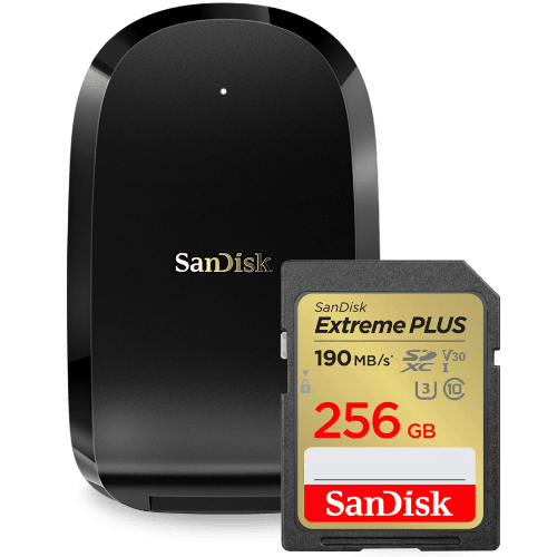 SanDisk SD Card, Memory Cards, and Flash Drives for PC & Mac