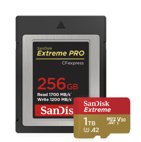 SanDisk Extreme microSD Card for Mobile Gaming, 4K Video, 160MB/s R/90MB/s  256GB, SDSQXA1-256G-GN6GN