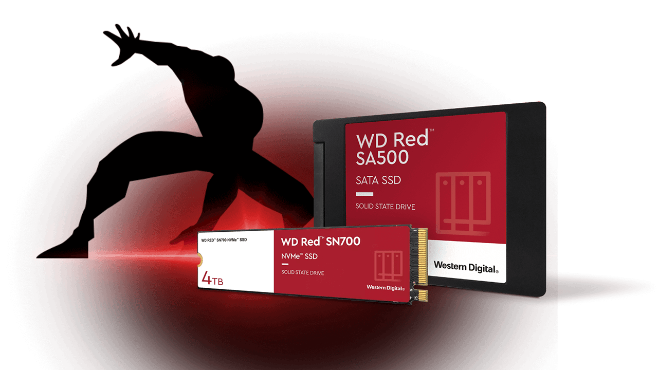 High-Performance SSDs, HDDs, USB Drives, & Memory Cards