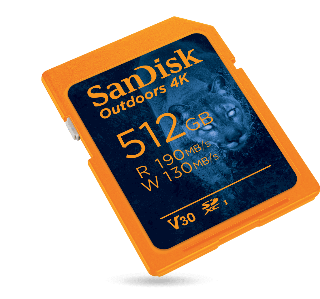 SanDisk SD Card, Memory Cards, and Flash Drives for PC & Mac Western