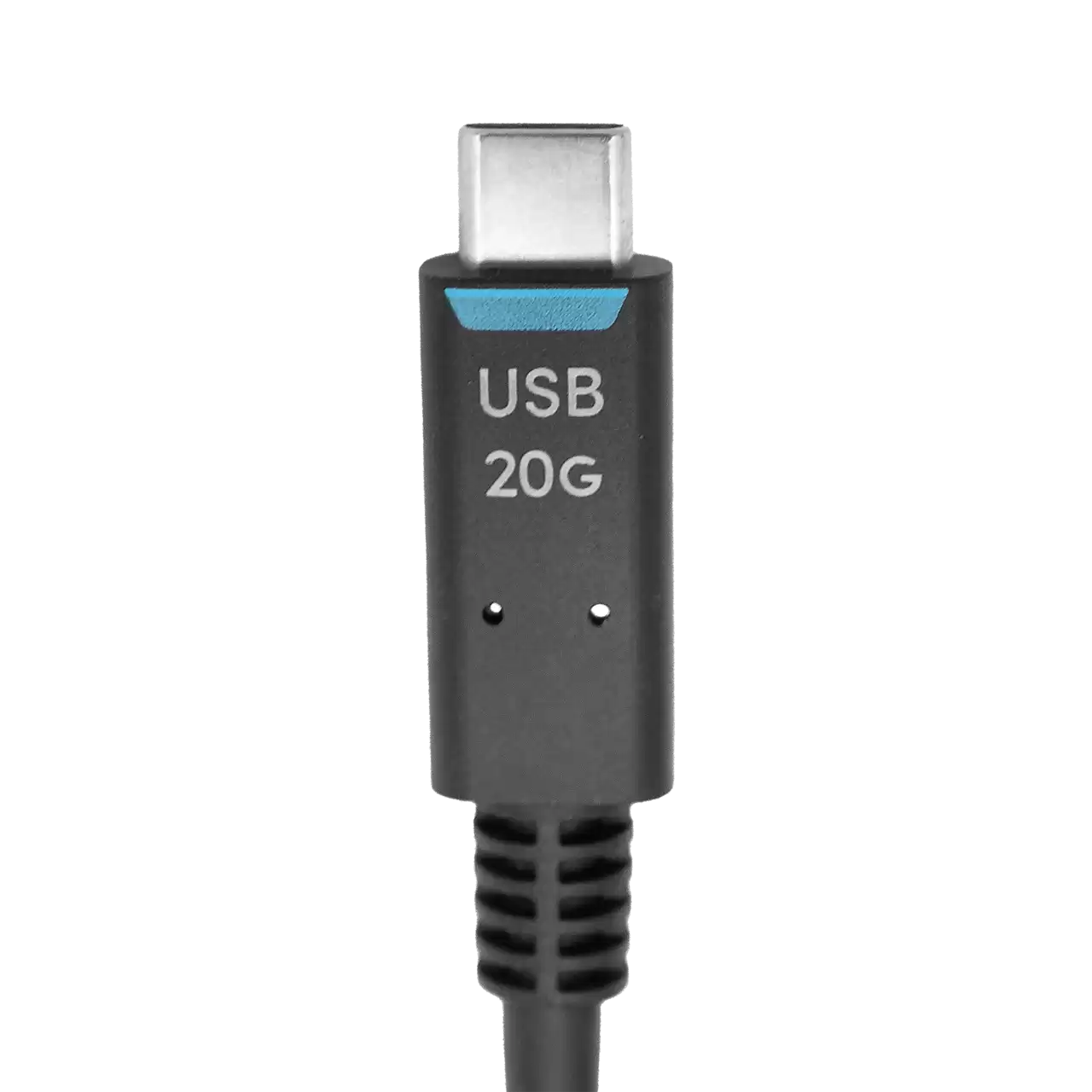 SanDisk Professional USB-C 20G Data Cable Closeup- Zoom Image