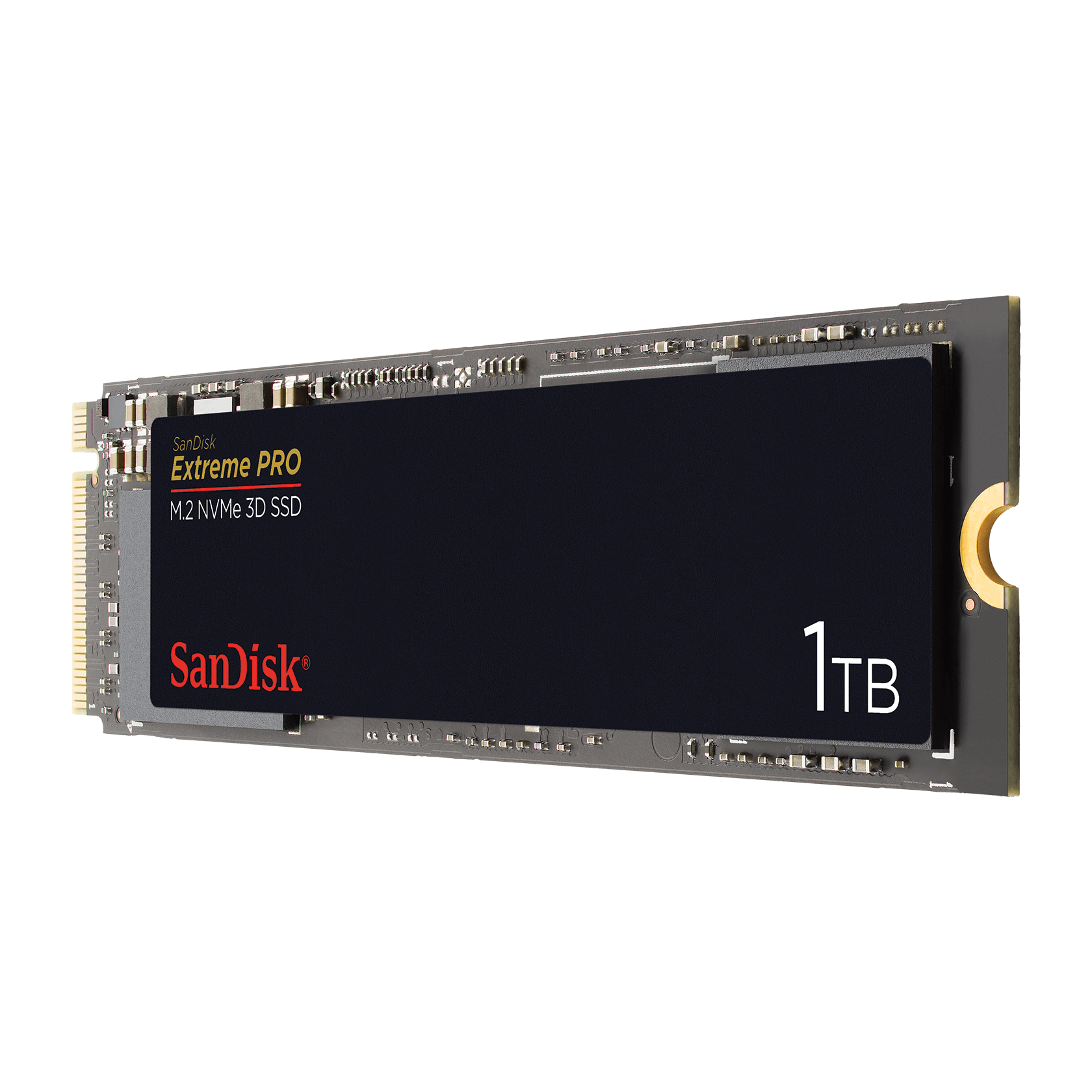 Sandisk x110 m2 on sale