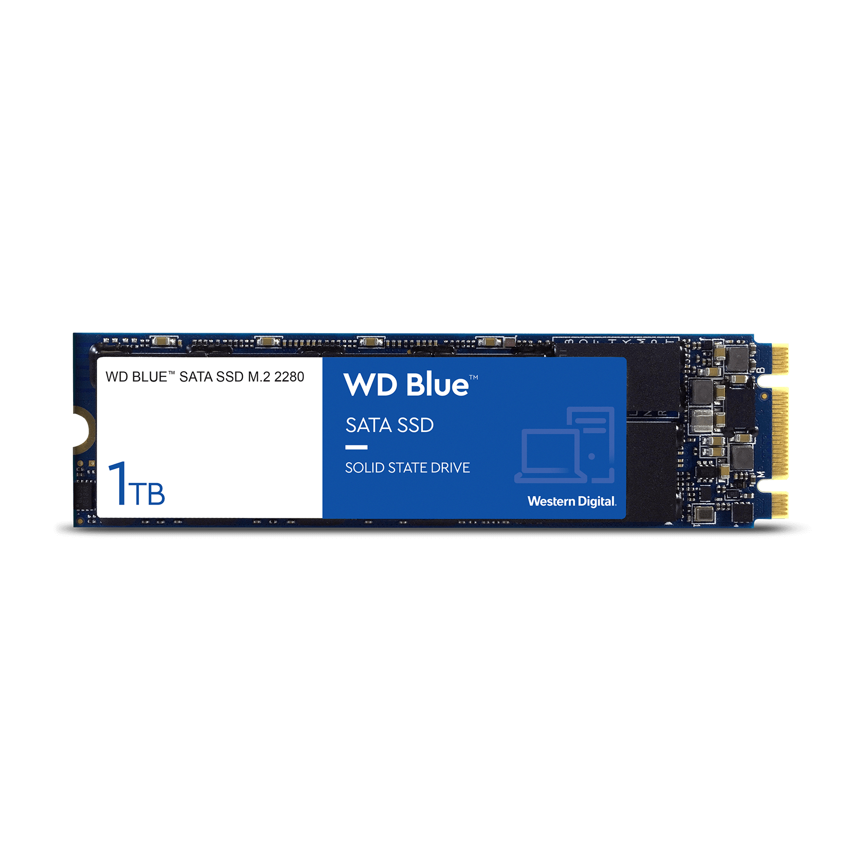 WD Blue™ SATA SSD M.2 PC | Western Digital