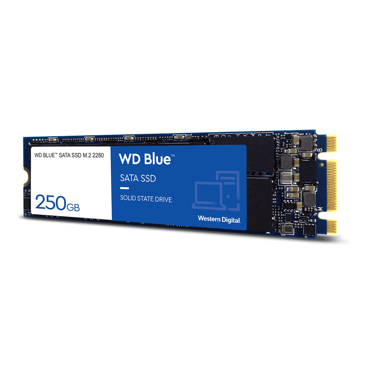 uddybe Følge efter beslutte WD Blue™ SATA SSD M.2 2280 PC Hard Drive | Western Digital