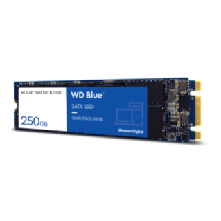 WD Blue™ SATA SSD M.2 2280 PC Hard Drive | Western Digital