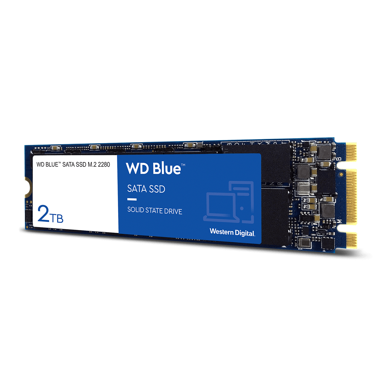 uddybe Følge efter beslutte WD Blue™ SATA SSD M.2 2280 PC Hard Drive | Western Digital