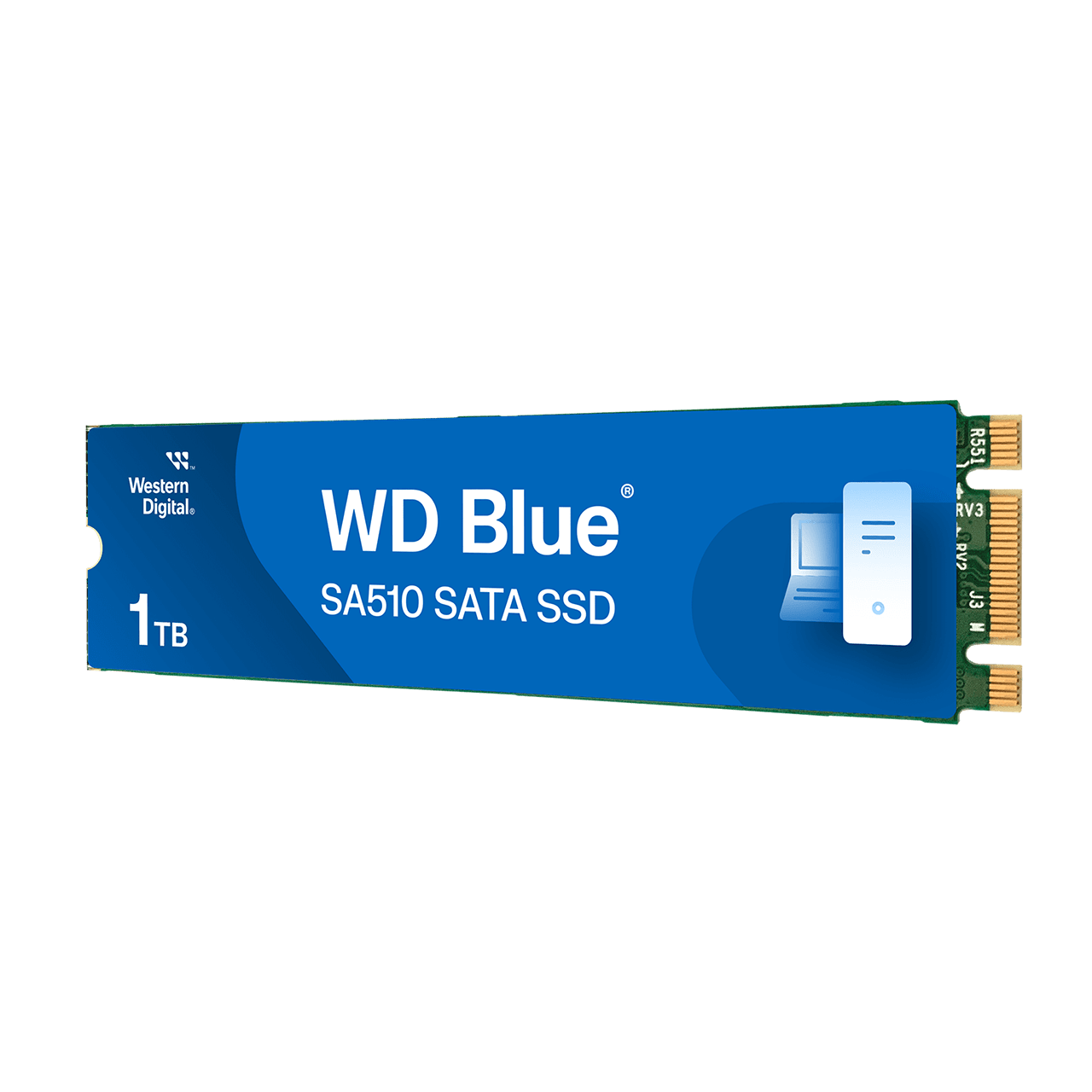 Disque dur SSD interne WESTERN DIGITAL WD Blue SA510 M.2 500 Go