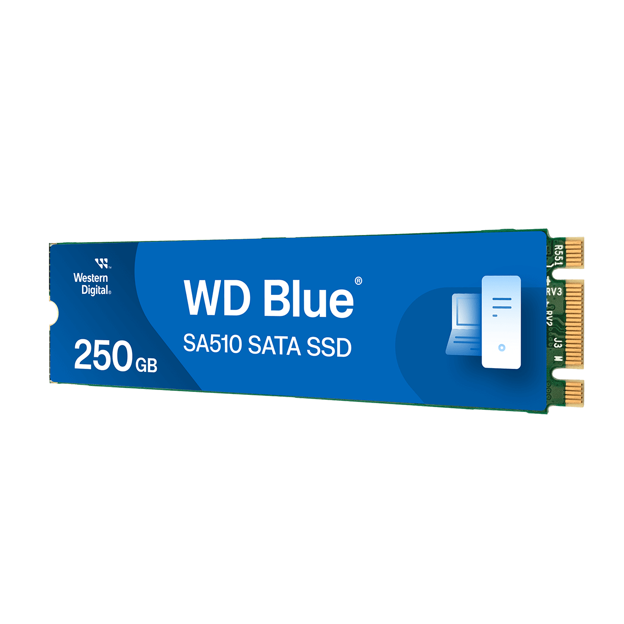 killing Primitiv Excel WD Blue SA510 SATA SSD M.2 | Western Digital