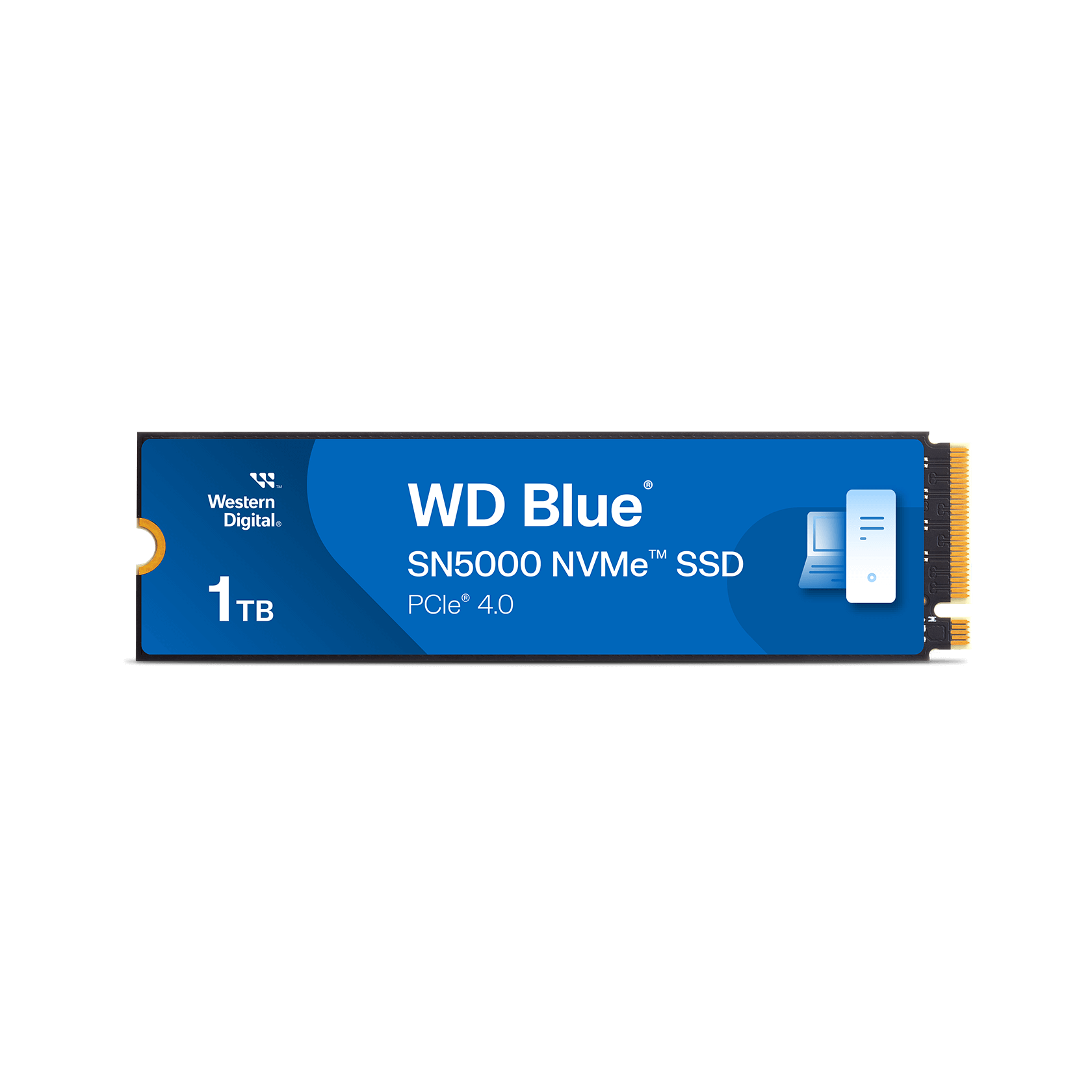 【SALE／10%OFF 2TB WD Digital Western | SSD NVMe™ SN5000 Blue 内蔵型SSD
