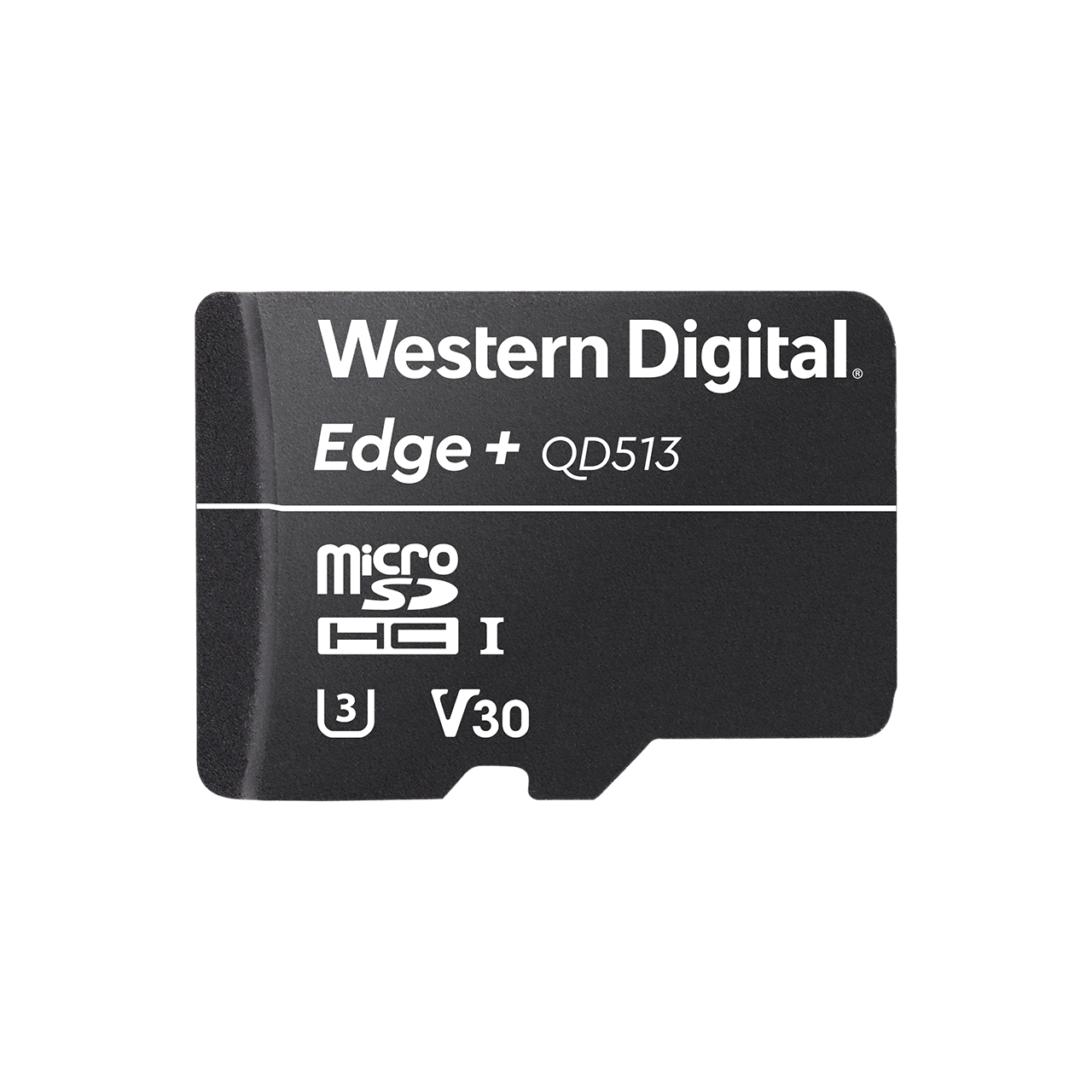 32GB Connected Home Edge+ microSD Card Western Digital