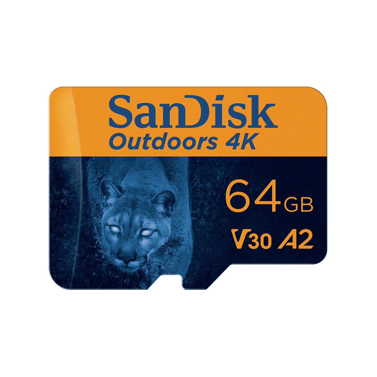 Sandisk micro cheap sd 4k