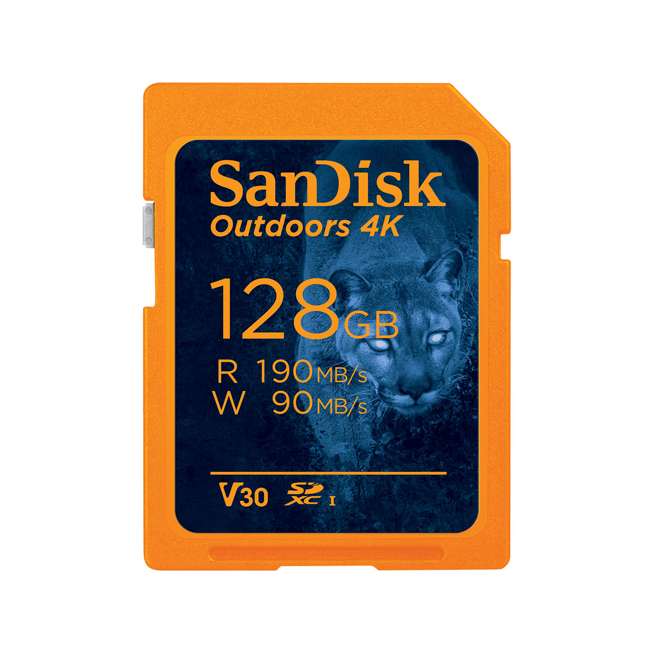 SanDisk Outdoors 4K SDXC UHS-I Card - 128GB - 2-Pack - Image3