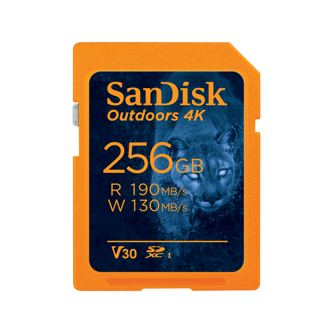 SanDisk Outdoors 4K SDXC UHS-I Card - 256GB Single Pack - Image5