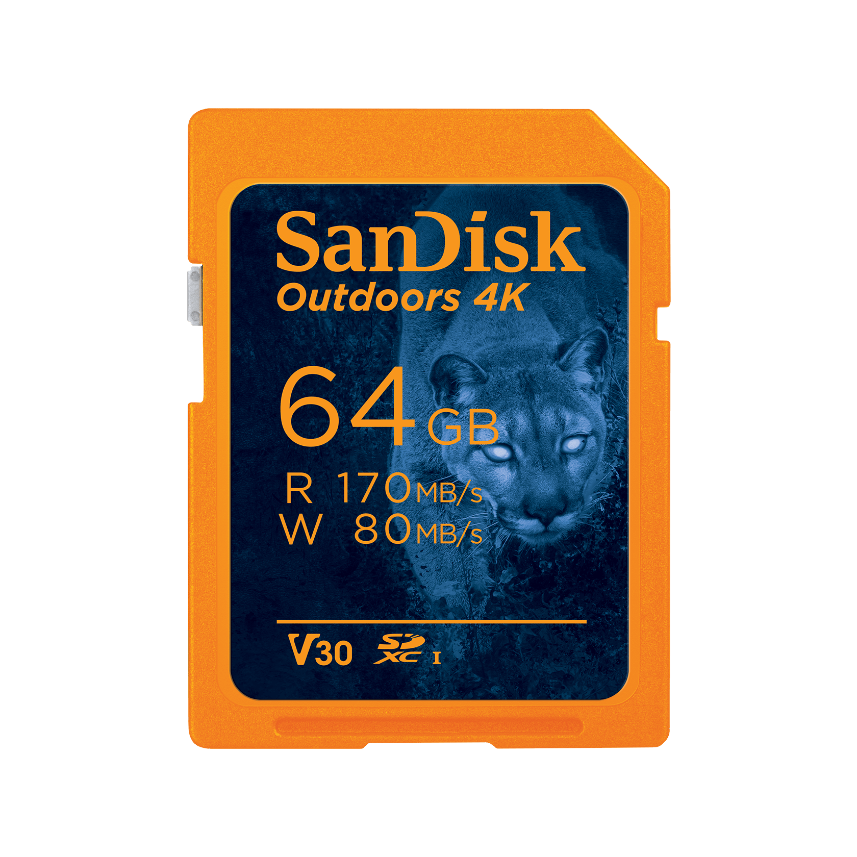 SanDisk Outdoors 4K SDXC UHS-I Card - 64GB 2-Pack - SDSDXW2-064G-GN6V2