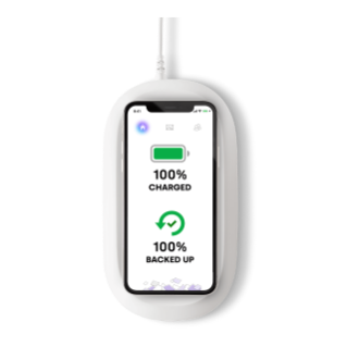 SanDisk® Ixpand® 10W Qi Wireless Phone Charger Sync | Western Digital