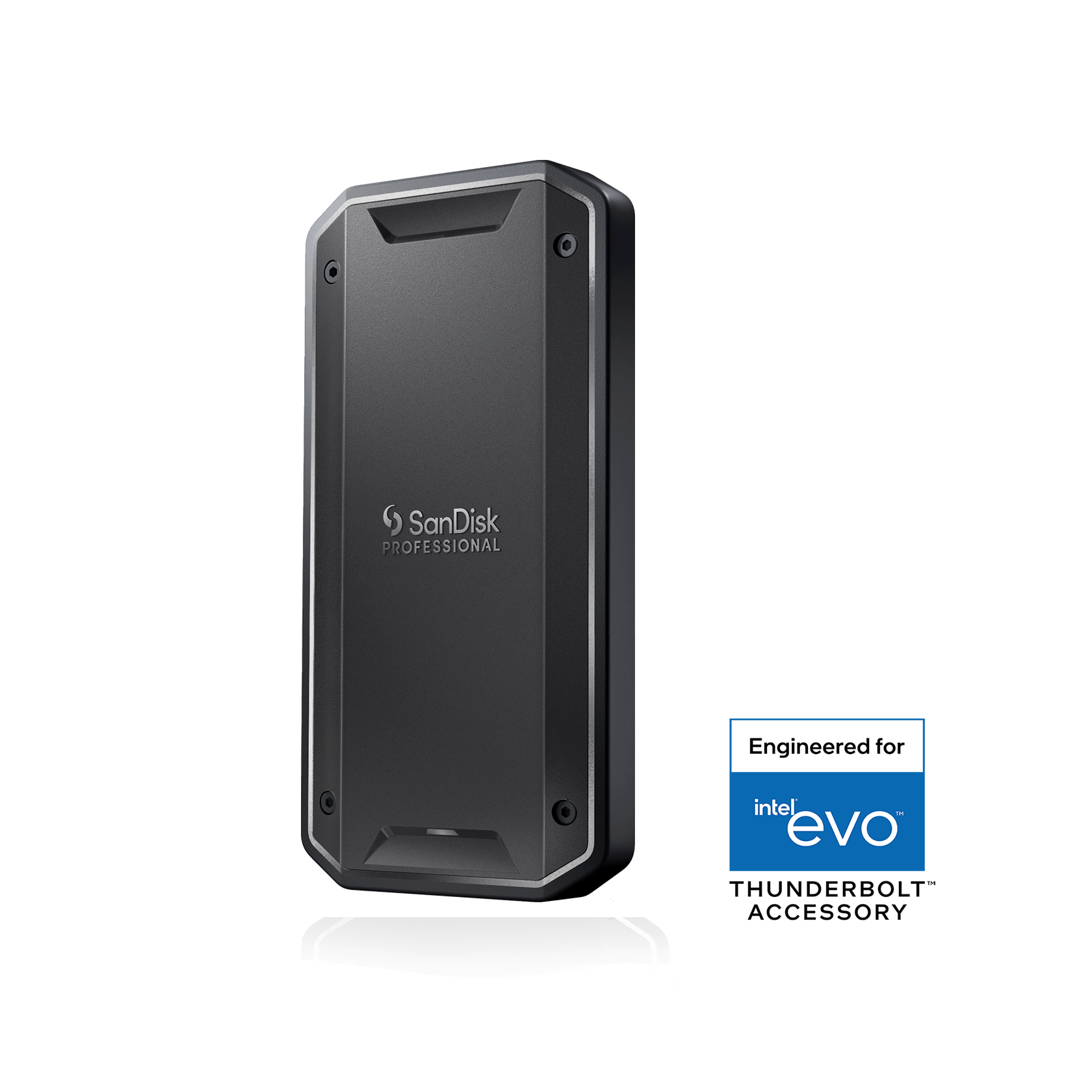 1TB SanDisk Professional PRO G40 SSD exFAT Western Digital