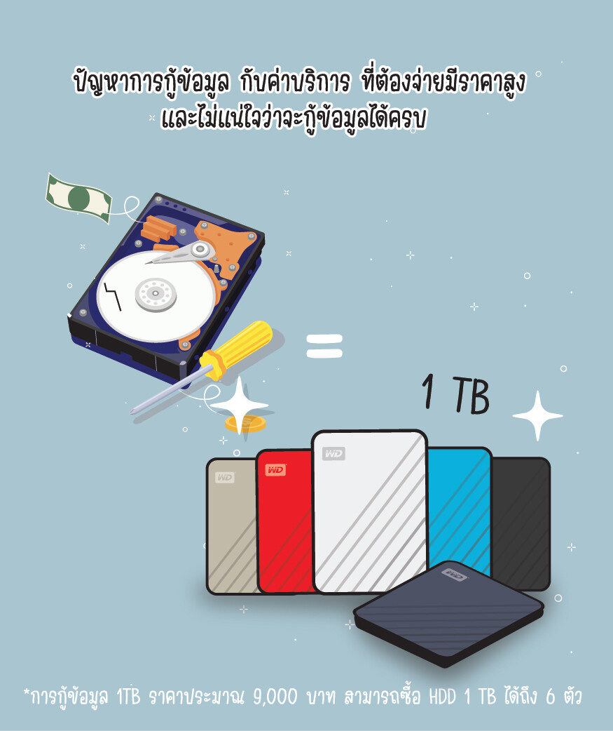 backup Western Digital