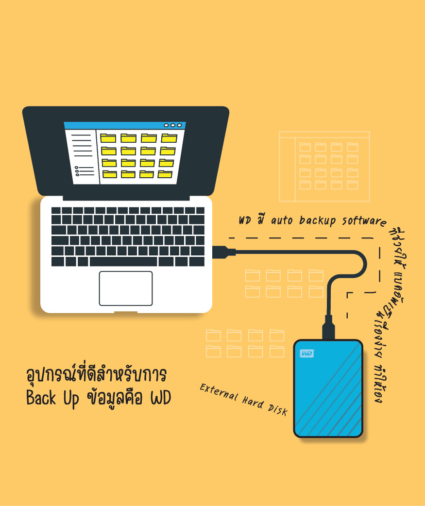 backup Western Digital