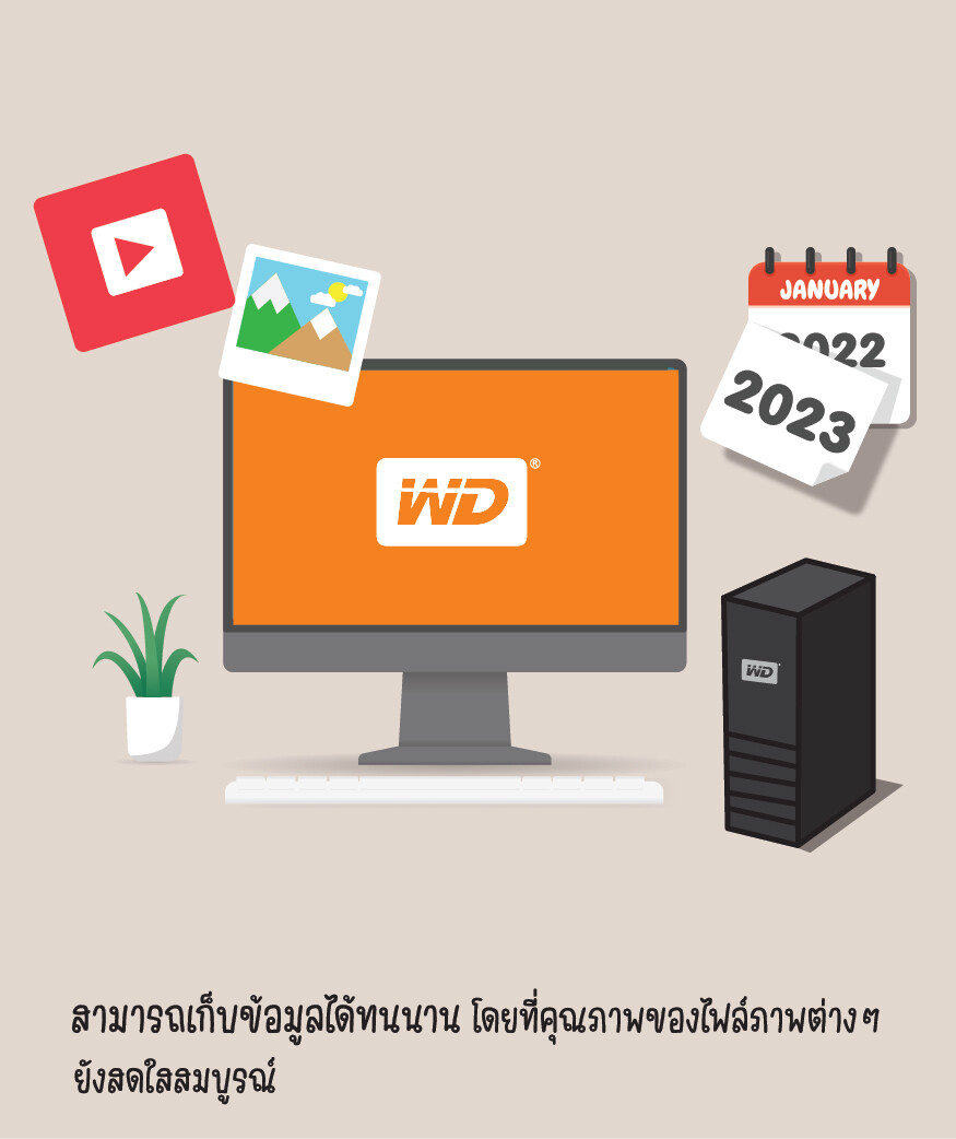 backup Western Digital