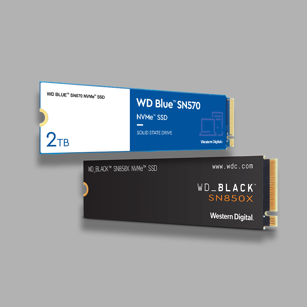 world-back-up-day-products2