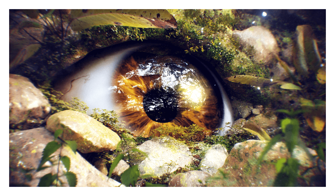 2nd prize winner, Stephen G's image submission