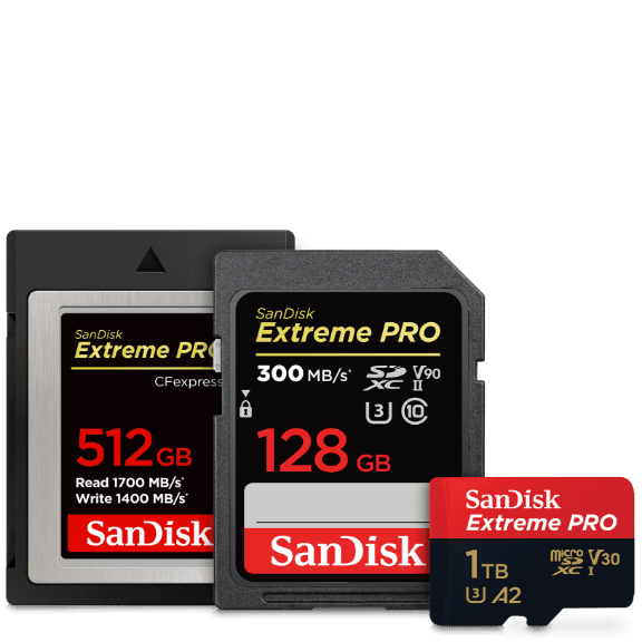 Funktionen und Vorteile von Speicherkarten und Kartenlesern Western Digital