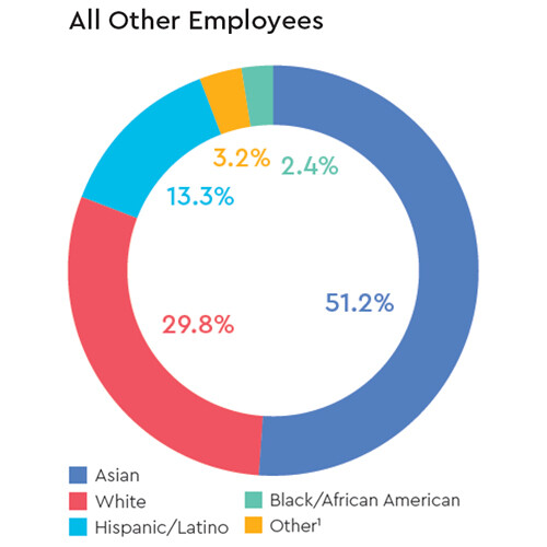 mobile-diversity-all-other-western-digital