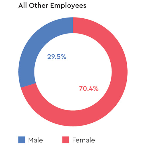 mobile-gender-all-other-employees-western-digital