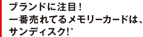 ブランドに注目！一番売れてるメモリーカードは、サンディスク！*