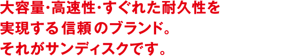 大容量・高速性・すぐれた耐久性を実現する信頼のブランド。それがサンディスクです。