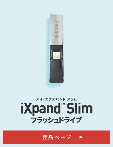SanDisk iXpand 狭かっ Slim フラッシュドライブ 64GB au